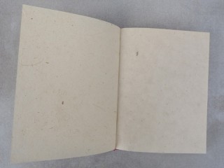 CrA150 Carnet Artisanal Népalais Art Mithila