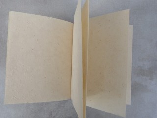CrA181 Carnet Artisanal Népalais Ganesh