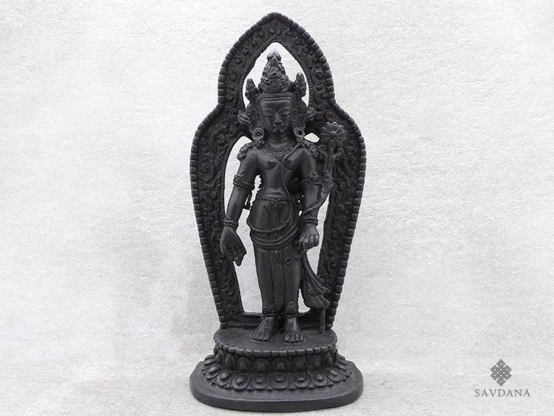St40 Statue Lokeshwar