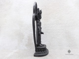 St40 Statue Lokeshwar