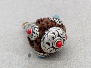 P109 Pendentif Tibétain Rudraksha