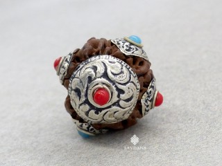 P109 Pendentif Tibétain Rudraksha