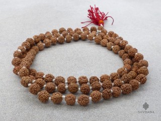 Mala172 Mala de Prières Tibétain Rudraksha